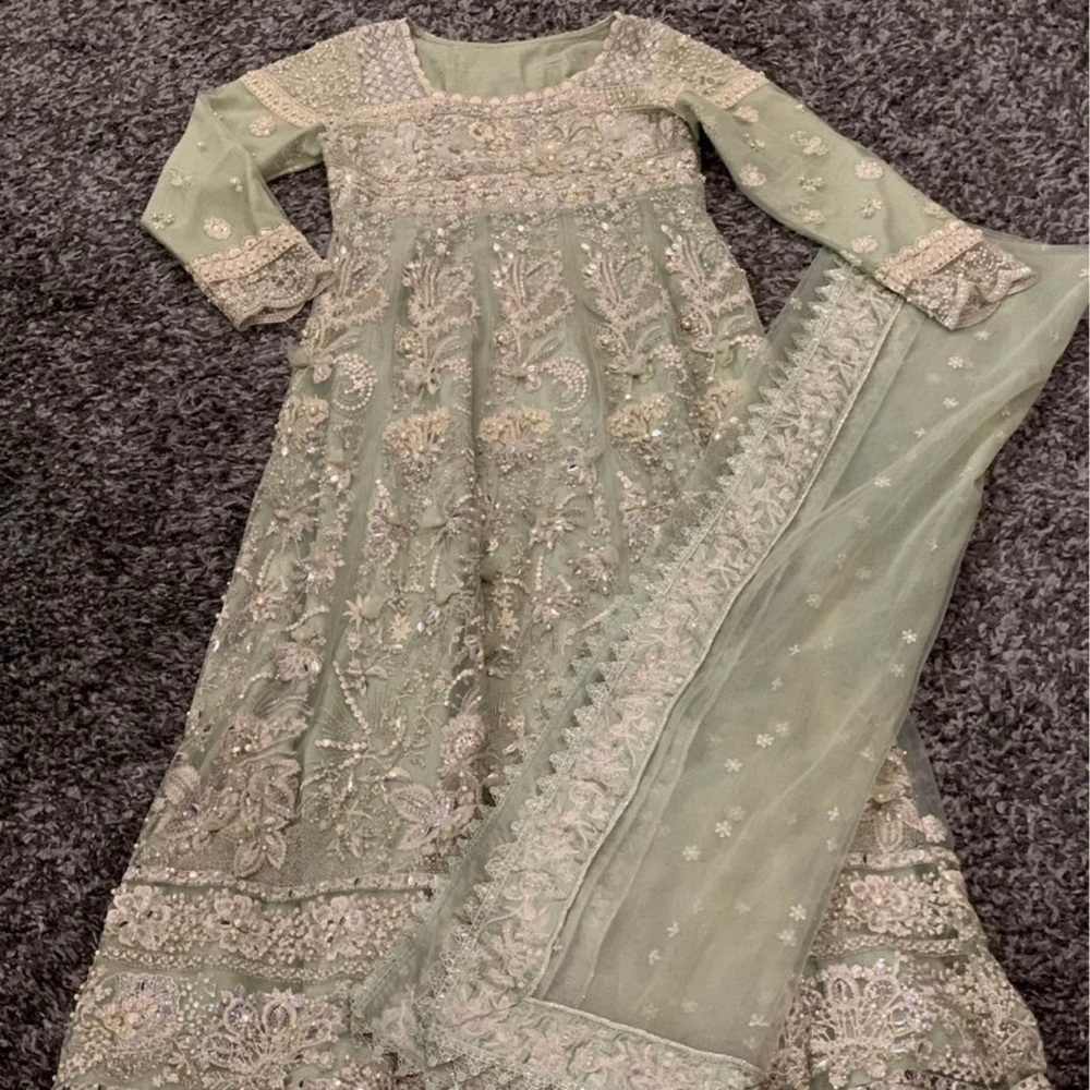Desi Pistachio Green Gown - Picture 6 of 6
